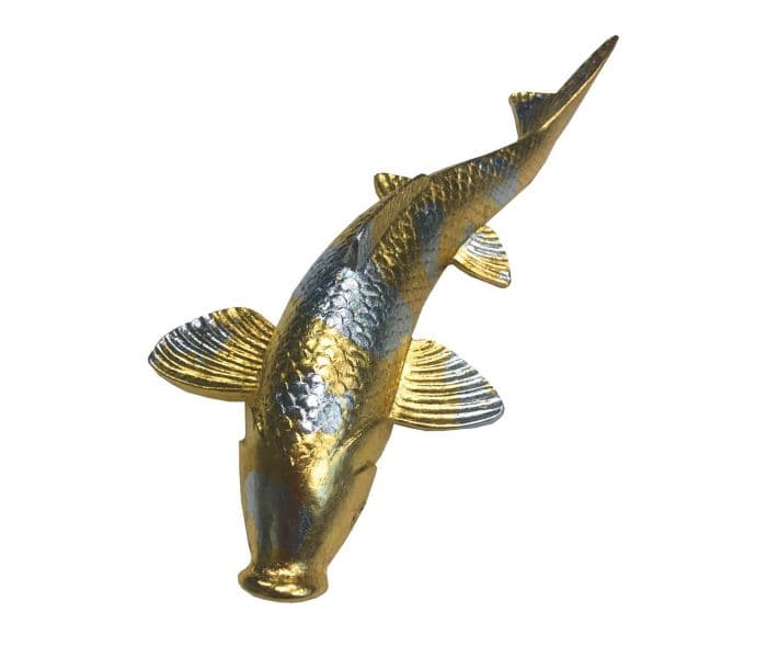  FISH  -  1